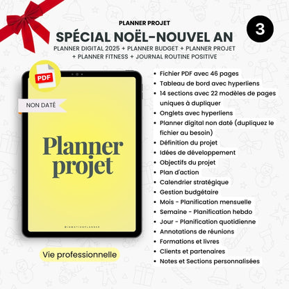 Bundle Spécial Noël-Nouvel An - 2025 Vertical